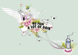 Absolut Swallow产品广告设计鉴赏